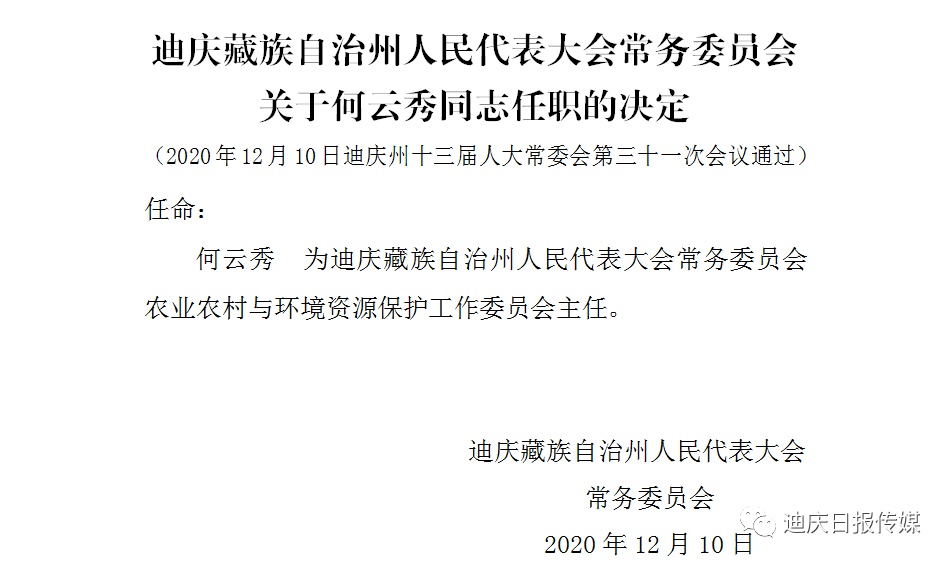 山下乡最新人事任命动态及未来展望，山下乡人事任命最新动态与未来展望