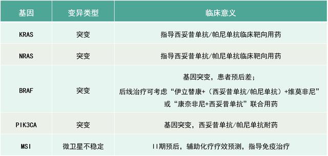 新澳精准资料内部资料,精细策略定义探讨_Q87.924