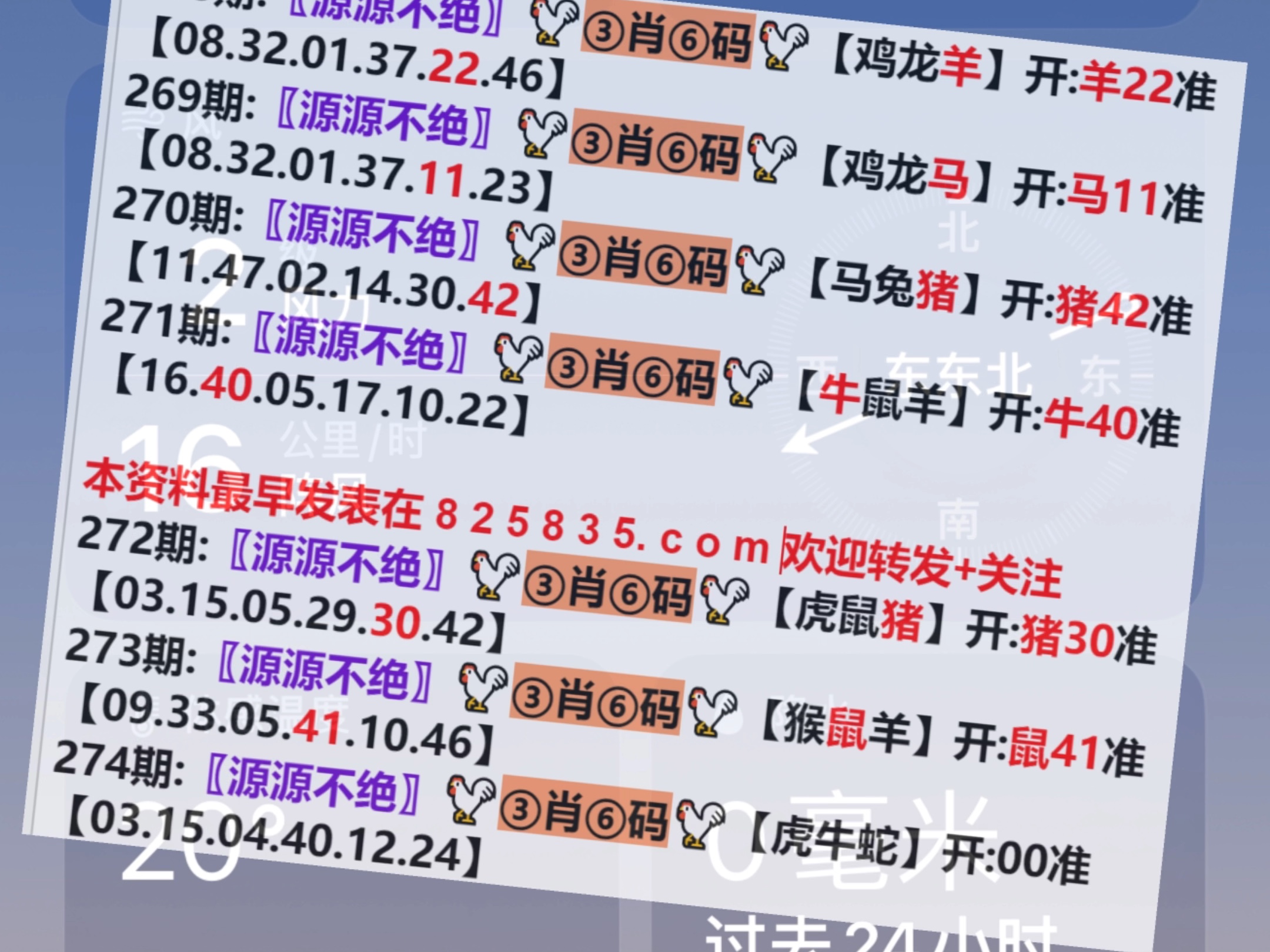 澳门王中王100%的资料2024,统计解答解释定义_升级版55.757