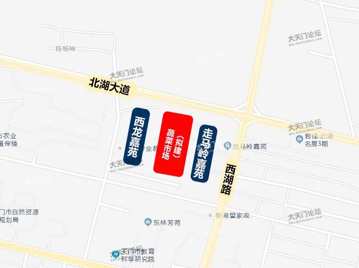 湖西街道最新发展规划，塑造未来城市新面貌，湖西街道最新发展规划，塑造未来城市新面貌蓝图