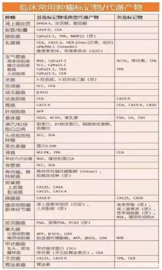 2024澳门免费最精准龙门,适用设计解析_游戏版33.100